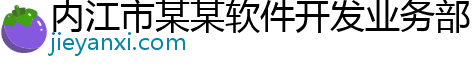 内江市某某软件开发业务部