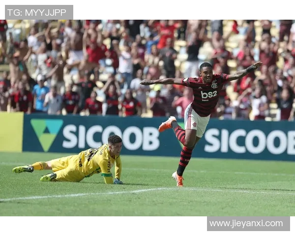 沙佩科恩斯足球传奇:不屈不挠的星光照亮永恒记忆